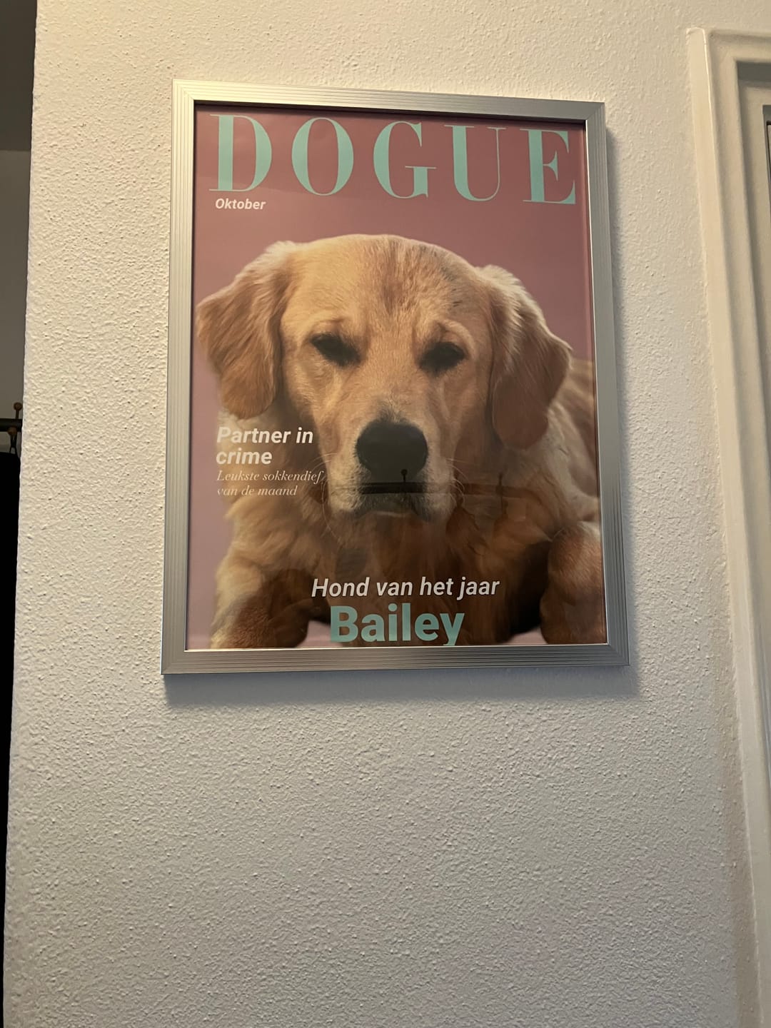 Customer photo review of Dogue - Gepersonaliseerde Poster