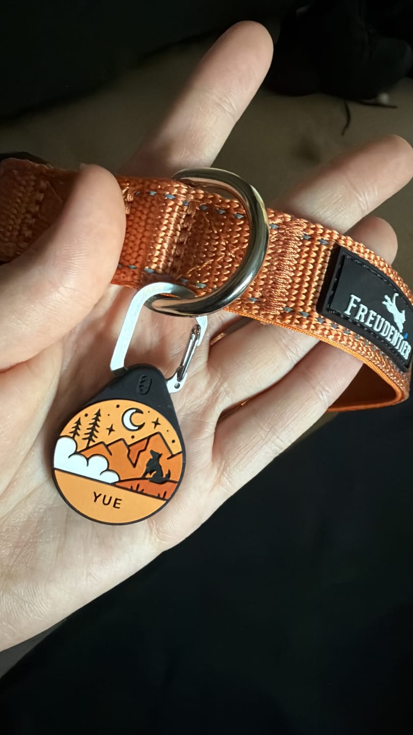 Customer photo review of Sunset Orange - Silent Dog ID Tag
