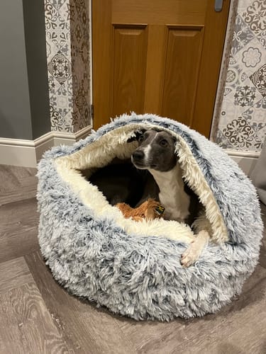 Customer photo review of Super Plush Cove Bed