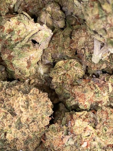 Customer photo review of Candy Gas THCA Flower