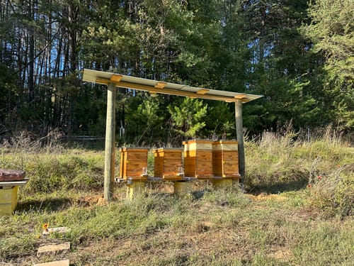 Customer photo review of BeeCastle Hives Cedar Wood 8 Frame 3 Layer Langstroth Bee Hive Dipped with 100% Beeswax Includes Beehive Frames and Waxed Foundations(2 Deep Brood Bee Boxes and 1 Super Medium Box)