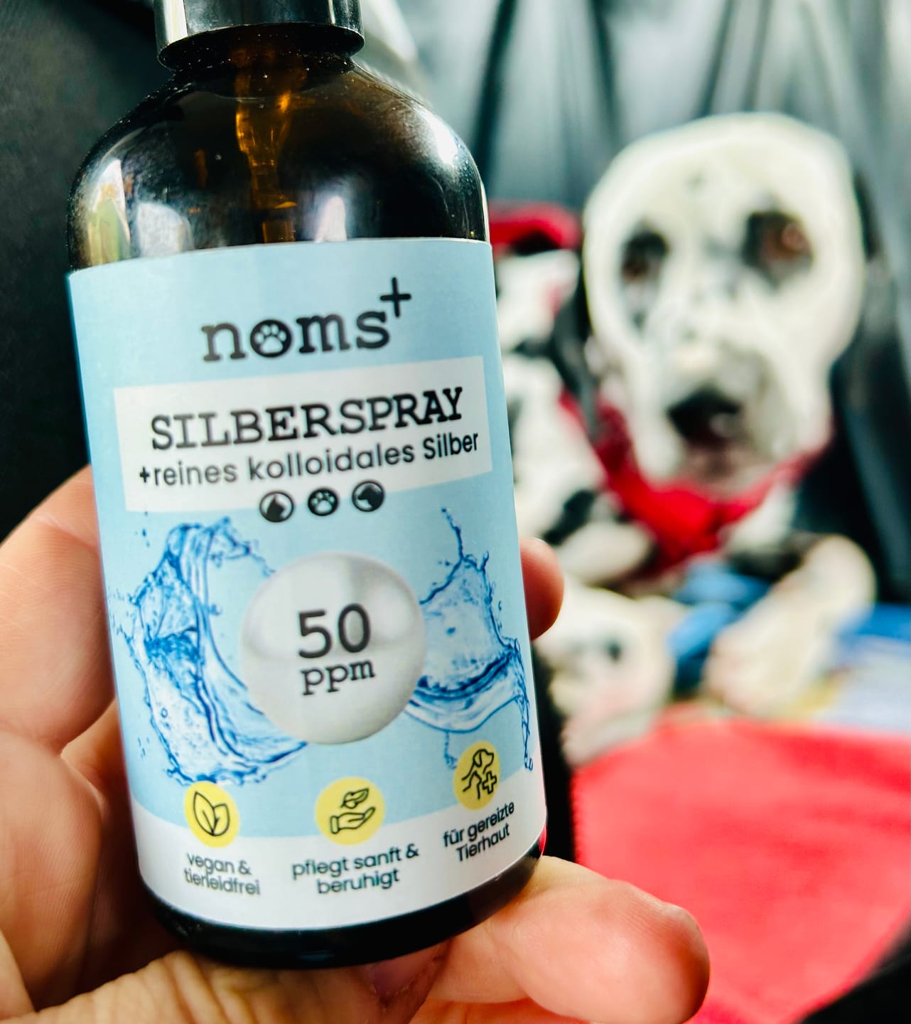 Customer photo review of Silberspray für Hunde und Katzen mit 50ppm (MHD 12/25)