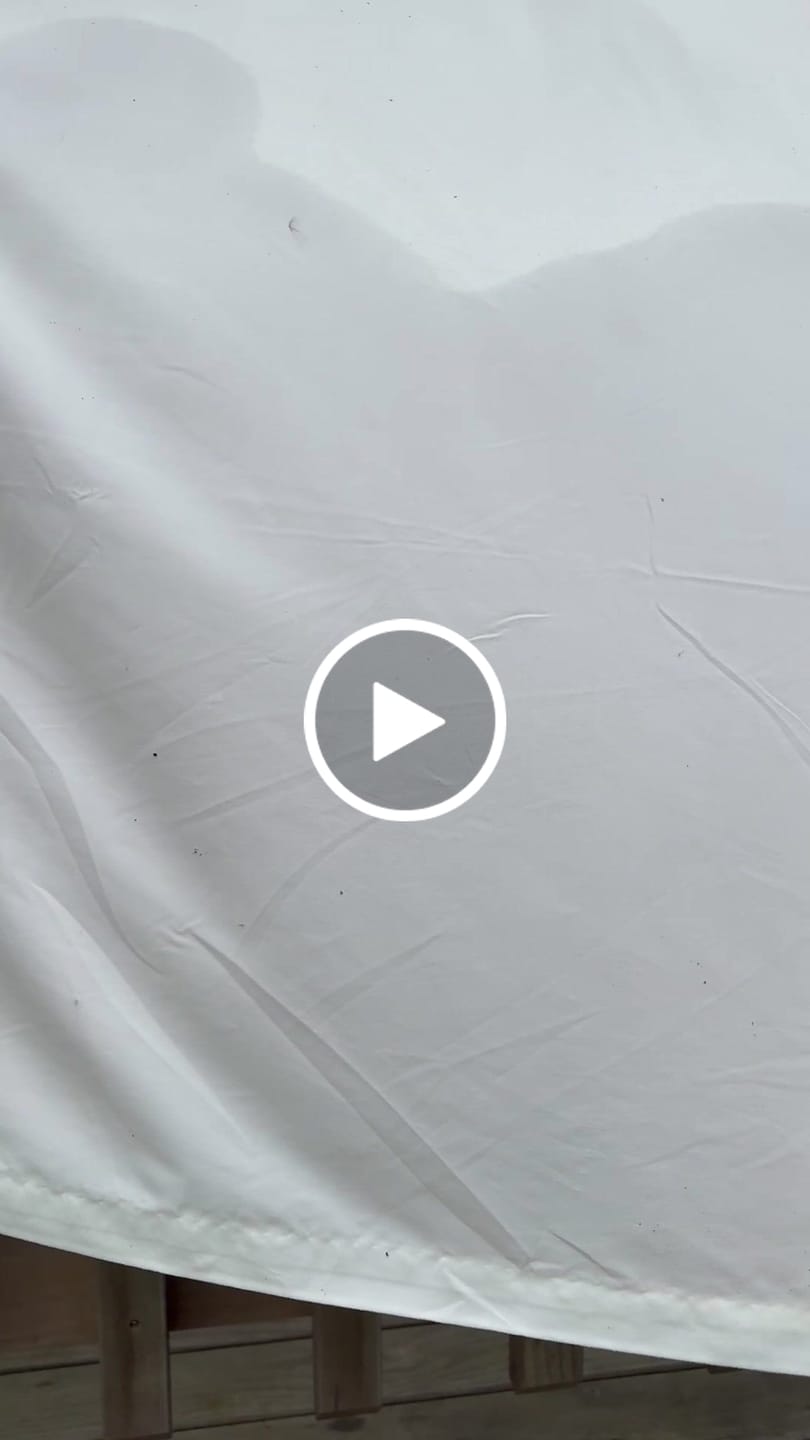 Customer video review of Curtain Wizard Instant Mould & Mildew Remover