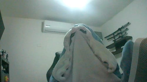 Customer photo review of Sharkman