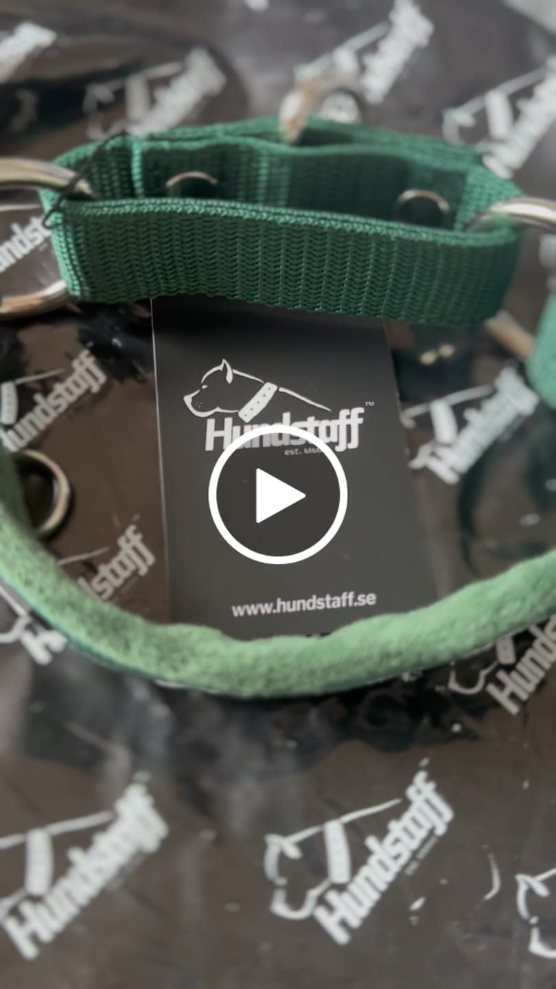 Customer video review of Martingale halsband med namn