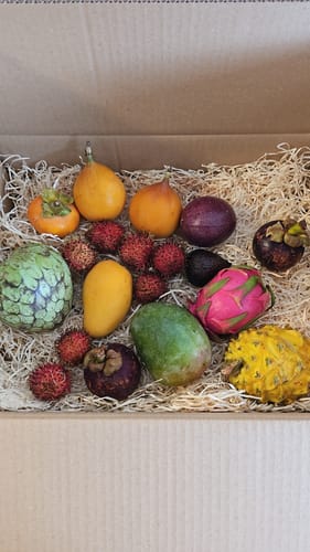 Customer photo review of Probierbox "Exotische Früchte"