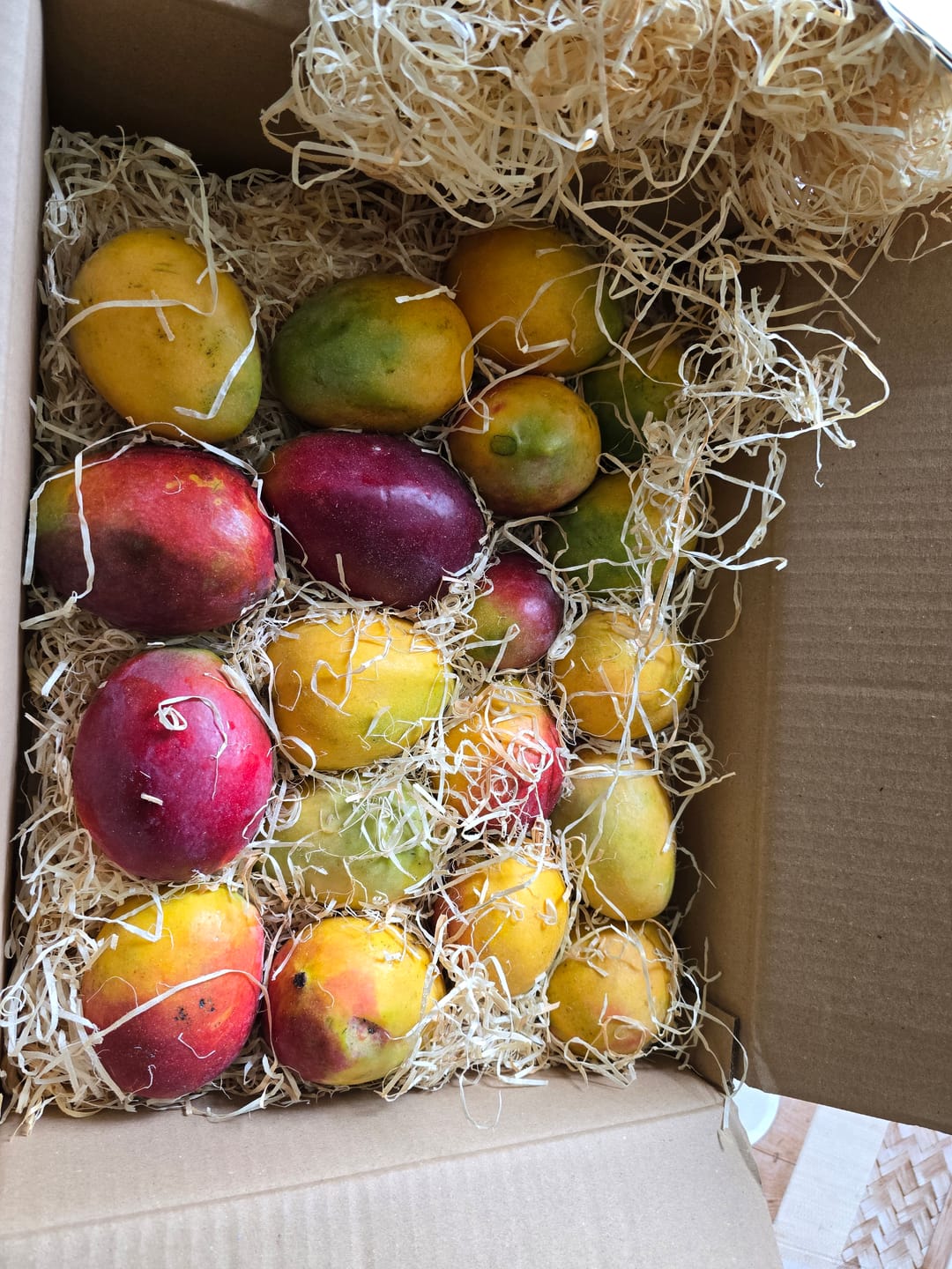 Customer photo review of Mango Sensacion Sonderaktion %