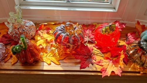 Customer photo review of Apple Cider Doughnut Squat Pumpkin