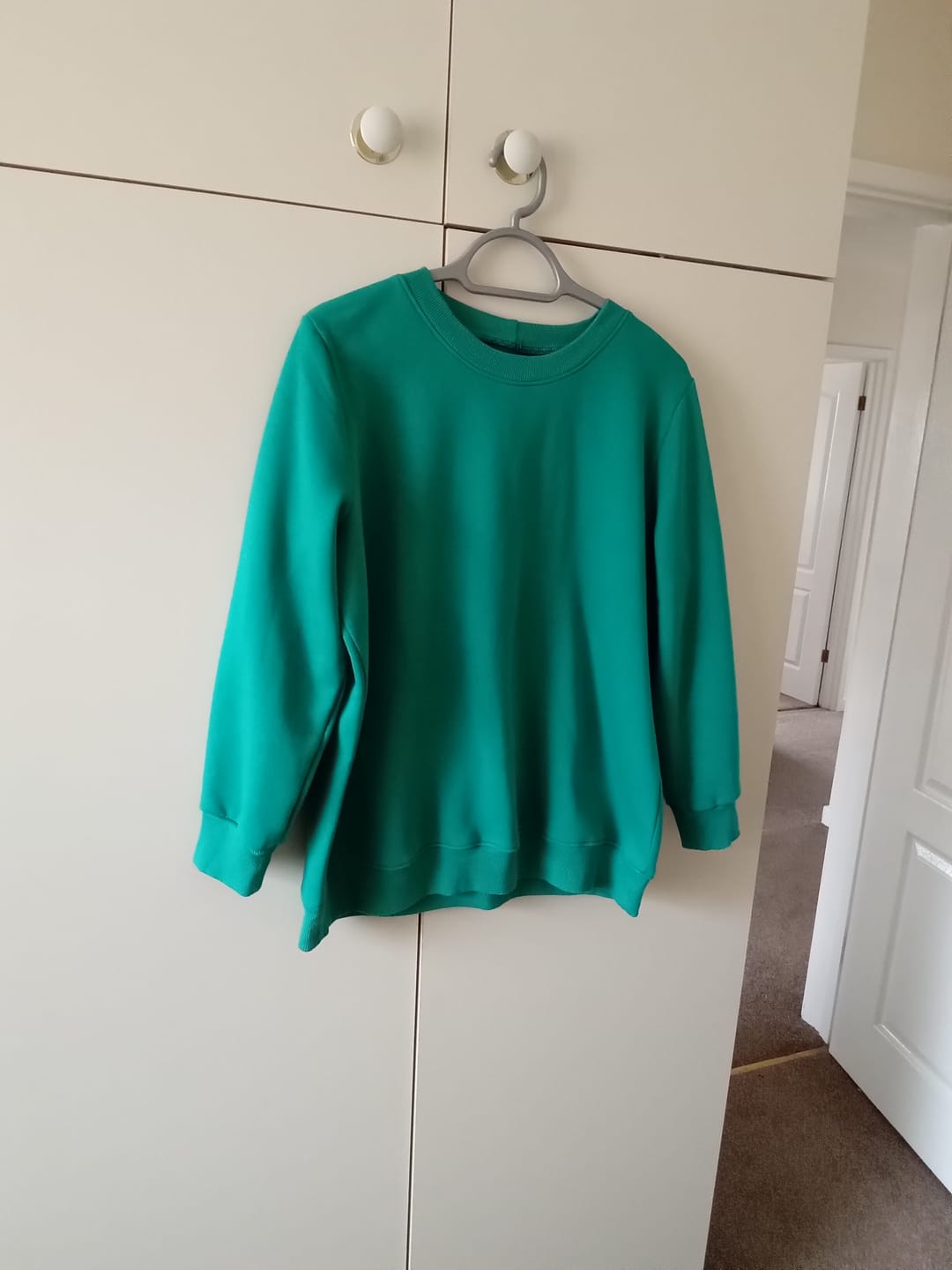 Customer photo review of Plain Sweatshirt Fabric
