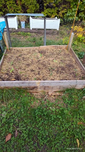 Customer photo review of 17” Tall Modular 9 in 1