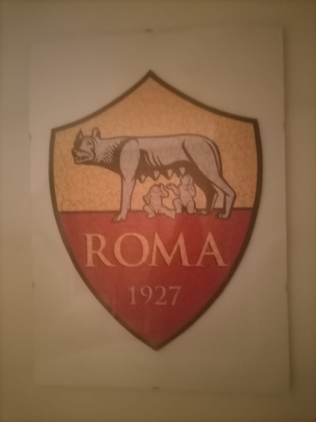 Customer photo review of Logo Roma® - Puzzle di Legno