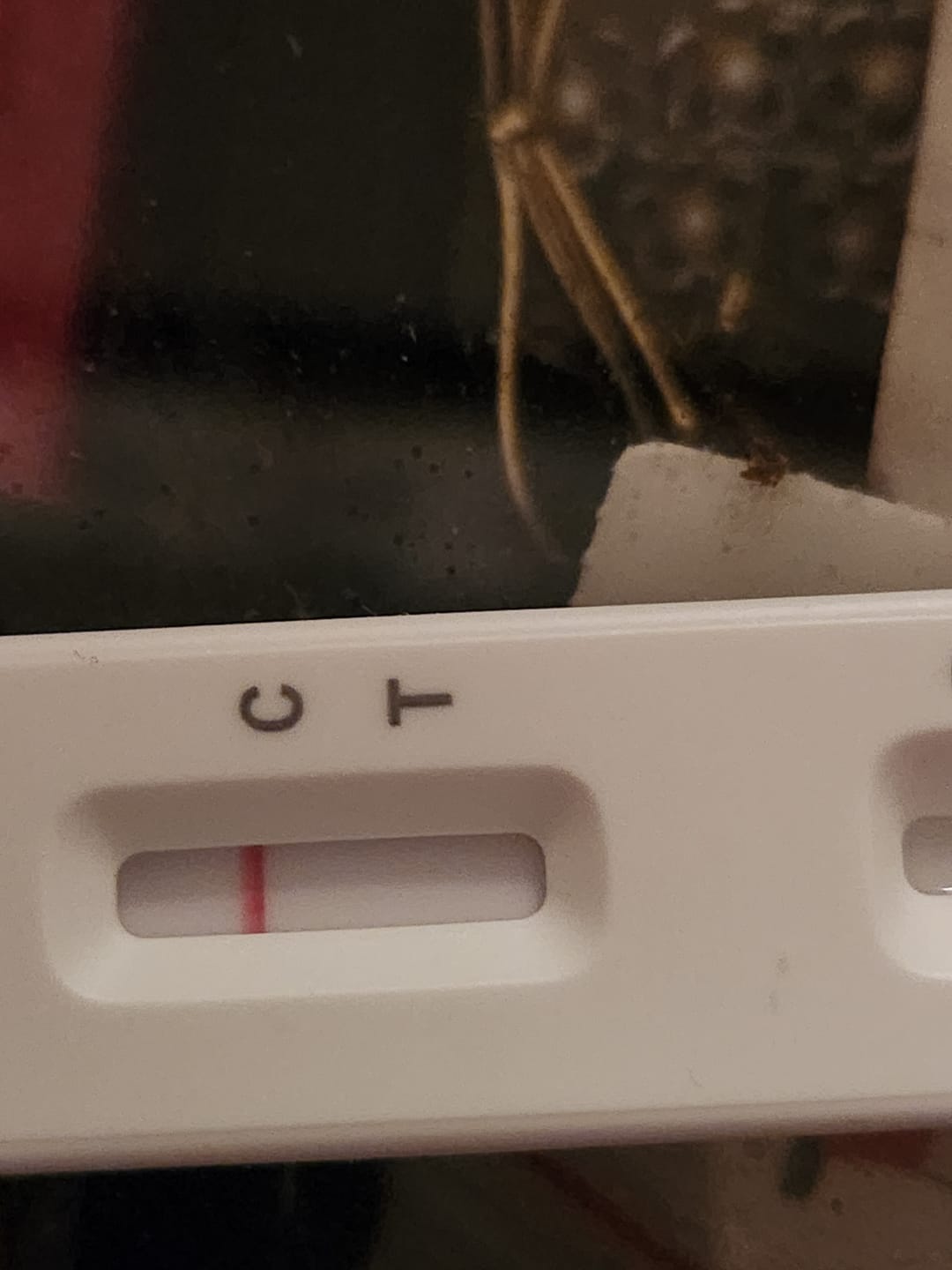 Customer photo review of Flowflex COVID-19 Antigen Rapid Test Kit
