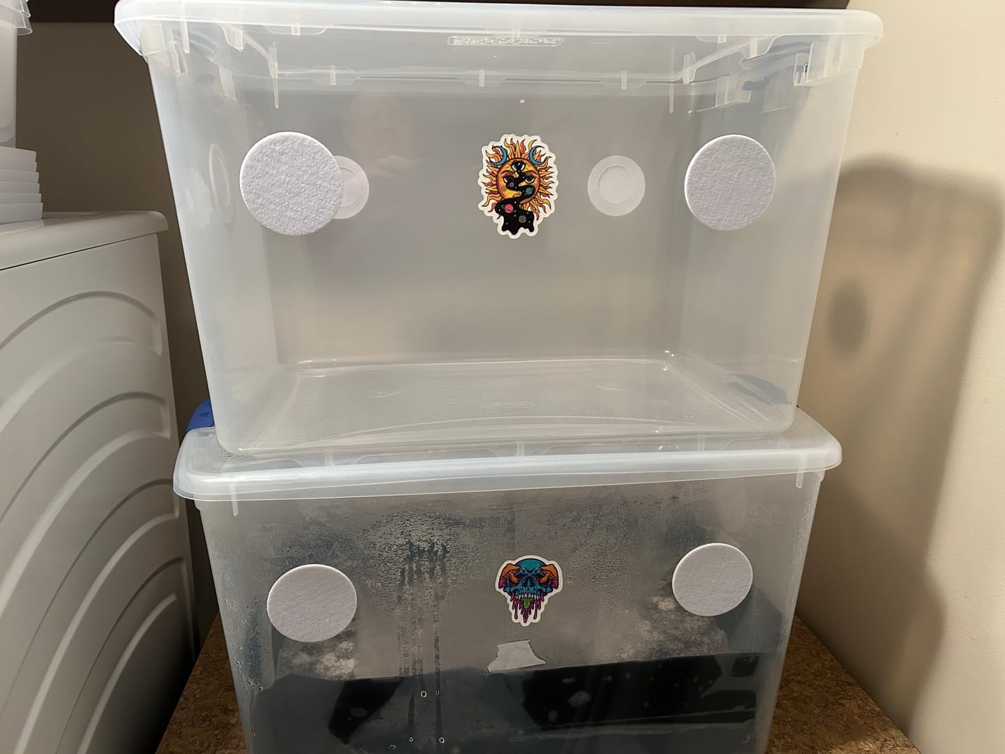 Customer photo review of Adherable Monotub Filters 2.5"