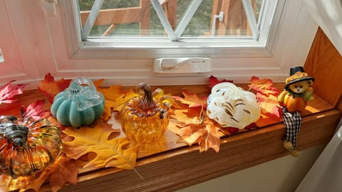 Customer photo review of November Birthstone Pumpkin