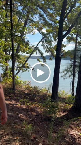 Customer video review of Custom Hook & Loop Patch For Harness (1 Pair)