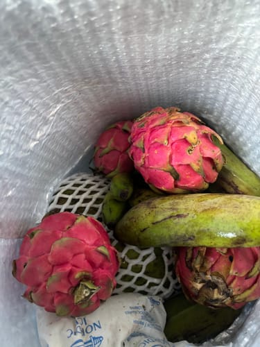 Customer photo review of Soursop