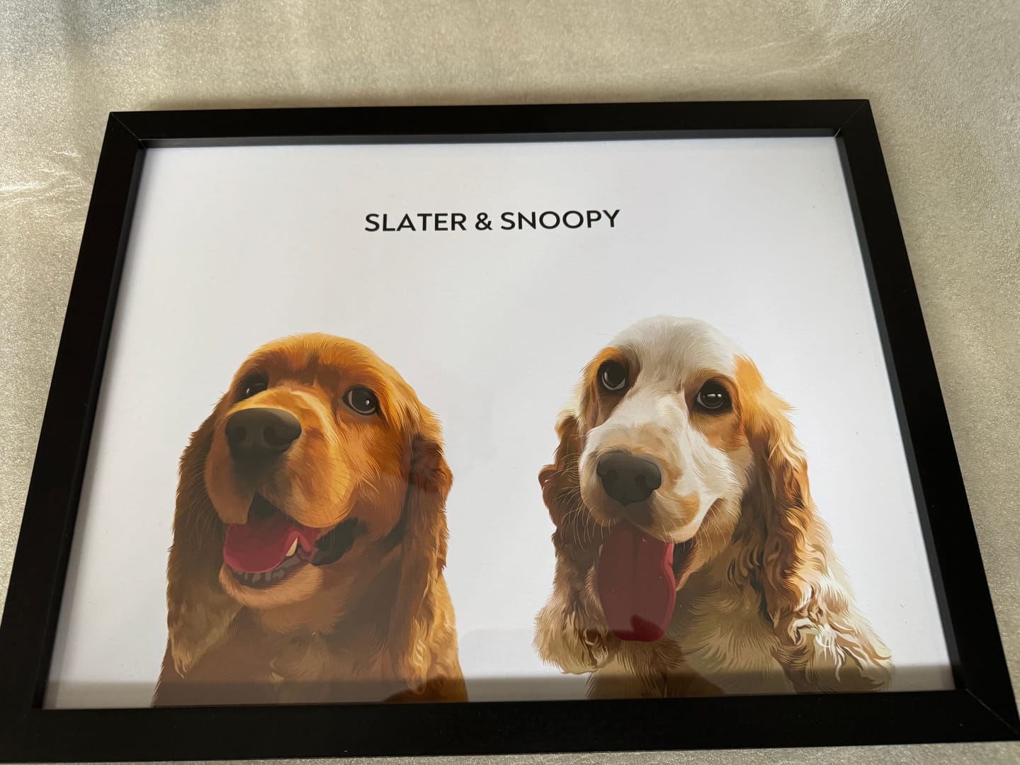 Customer photo review of 2 Pets