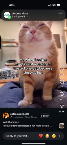 Customer photo review of Versace Dylan Purple Eau de Parfum Spray for Women