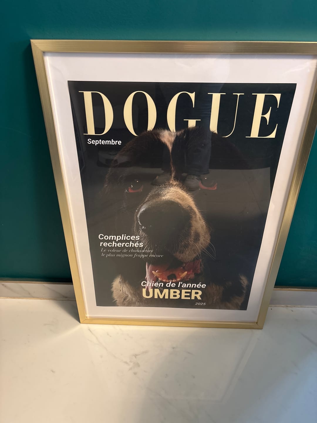 Customer photo review of Dogue - Poster personnalisé