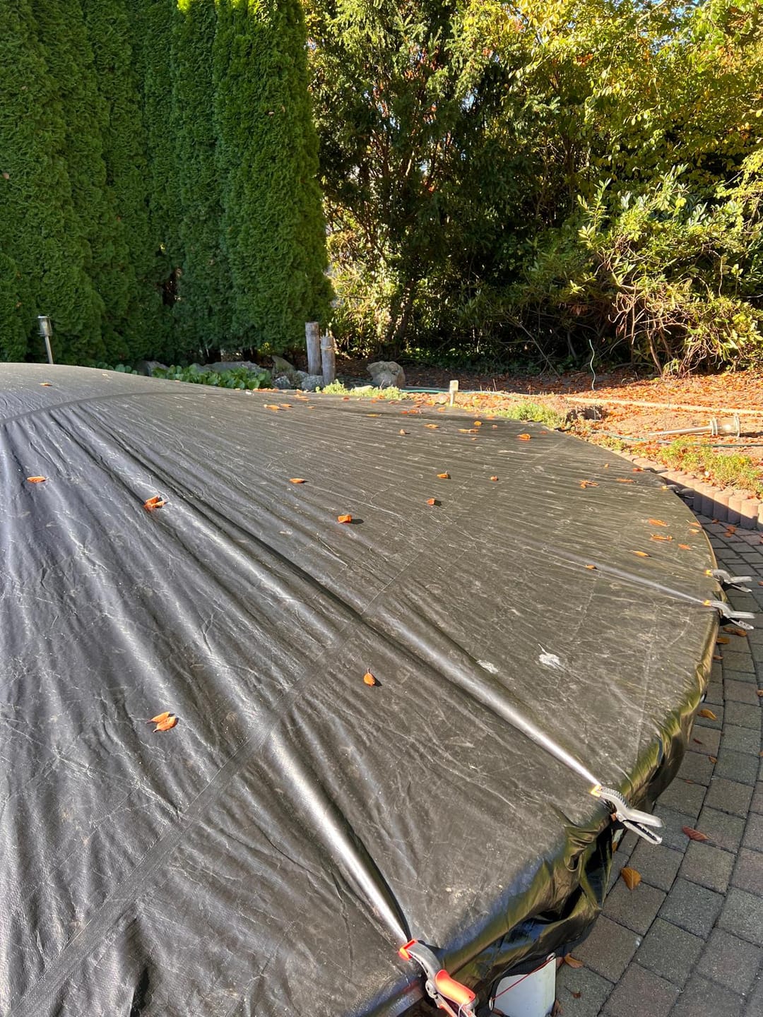 Customer photo review of Planenfux® Poolkissen XXL