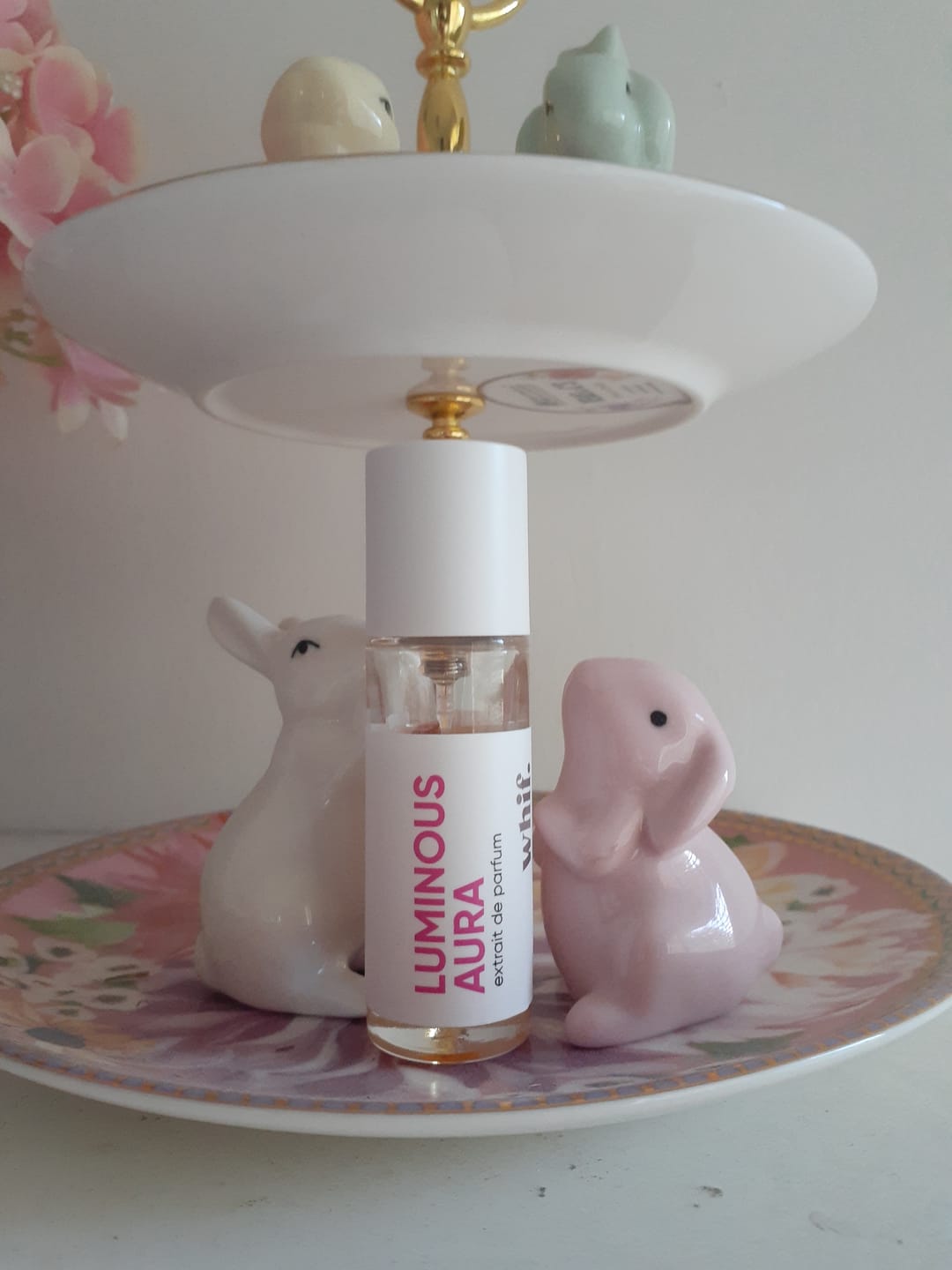 Customer photo review of Luminous Aura