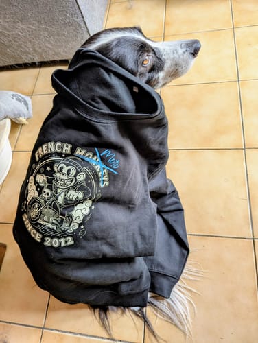 Customer photo review of COLLECTION GENESIS