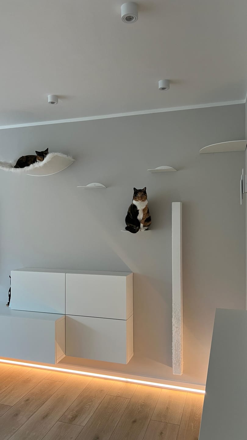 Customer photo review of STYA Katzen Kletterwand | Eckstufe WL160