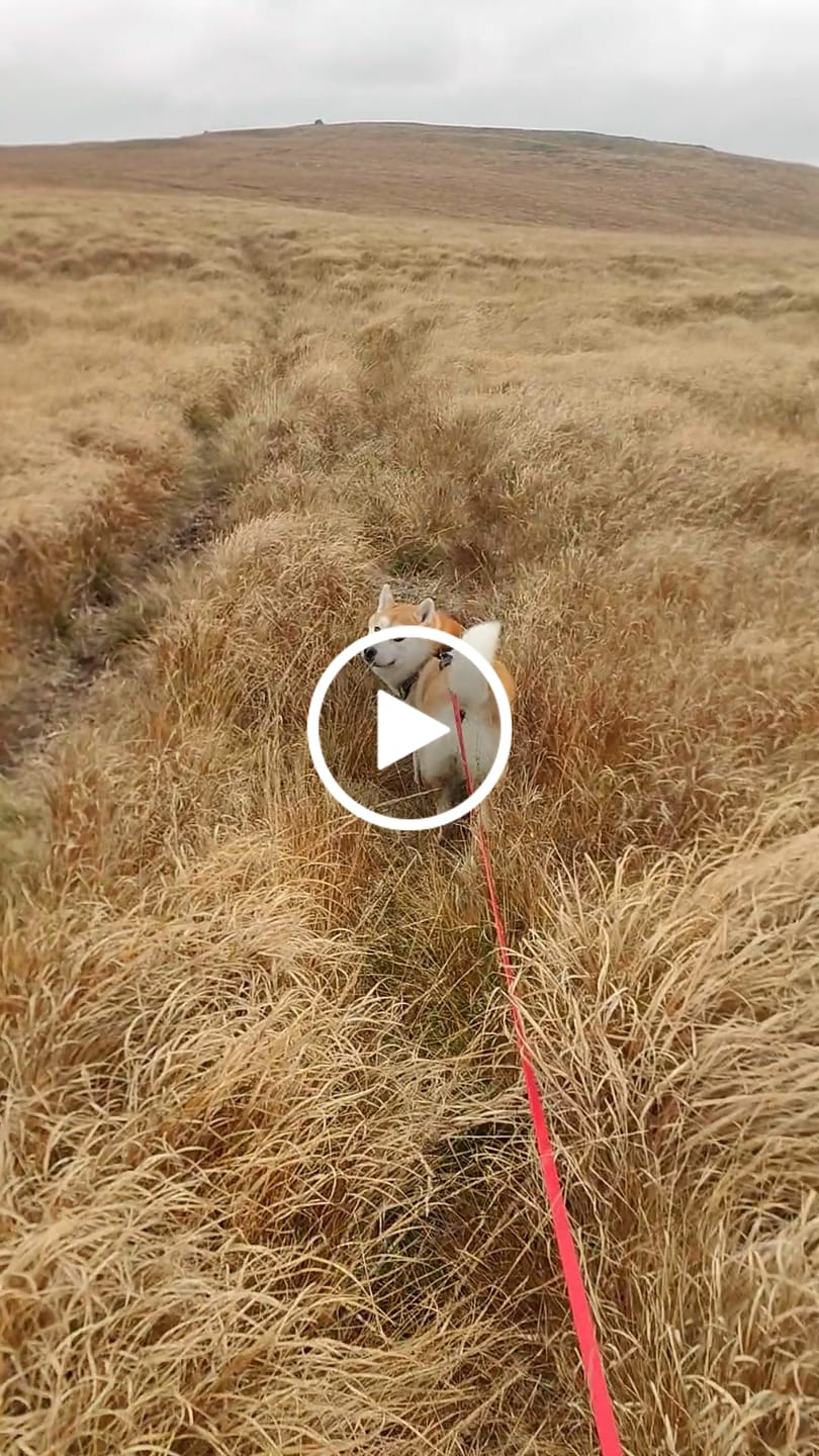 Customer video review of Tidal Waterproof Lead