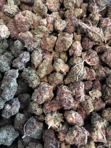 Customer photo review of Do Si Dos Mediums - Bulk Mediums - Indica