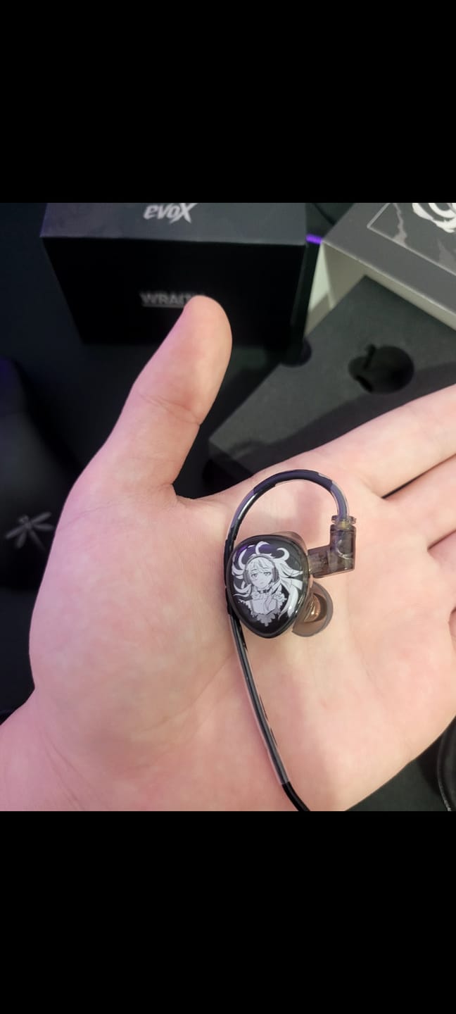 Customer photo review of Wraith evoX IEM Kulaklık