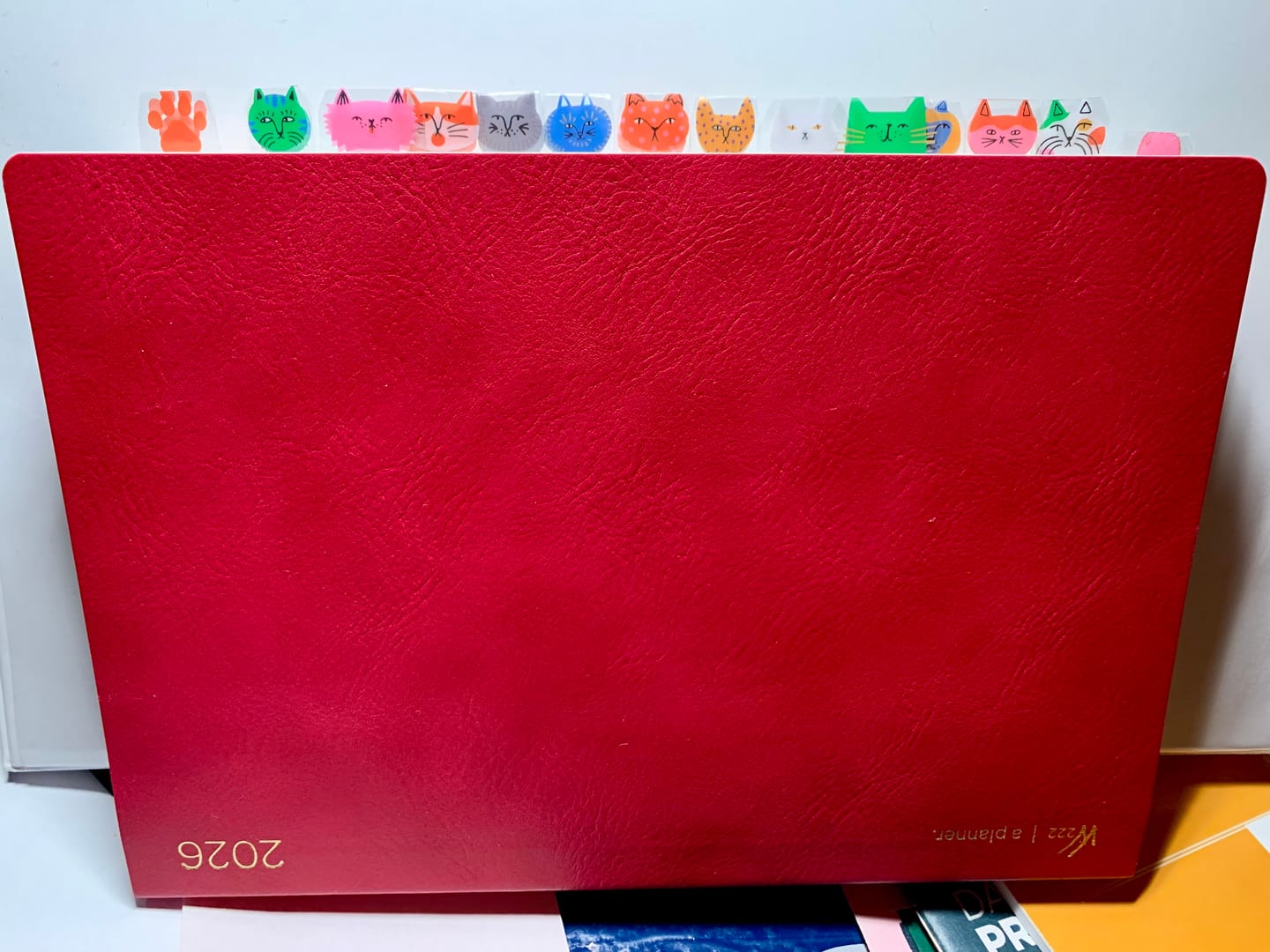 Customer photo review of Cat Monthly Index Tabs by Wonderland 222
