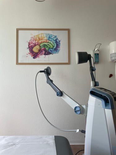 Customer photo review of Brain in Sagittal Section