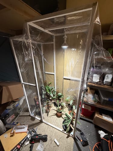 Customer photo review of Pianta 30 Grow Light LED Bulb