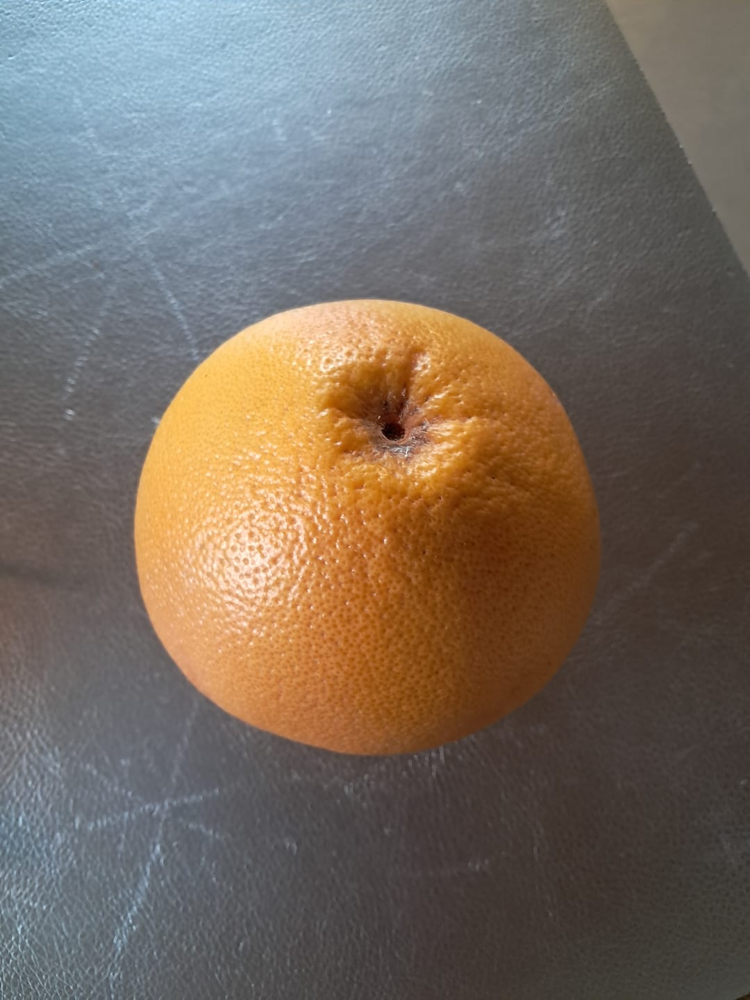 Customer photo review of Grapefruit Bio Pink