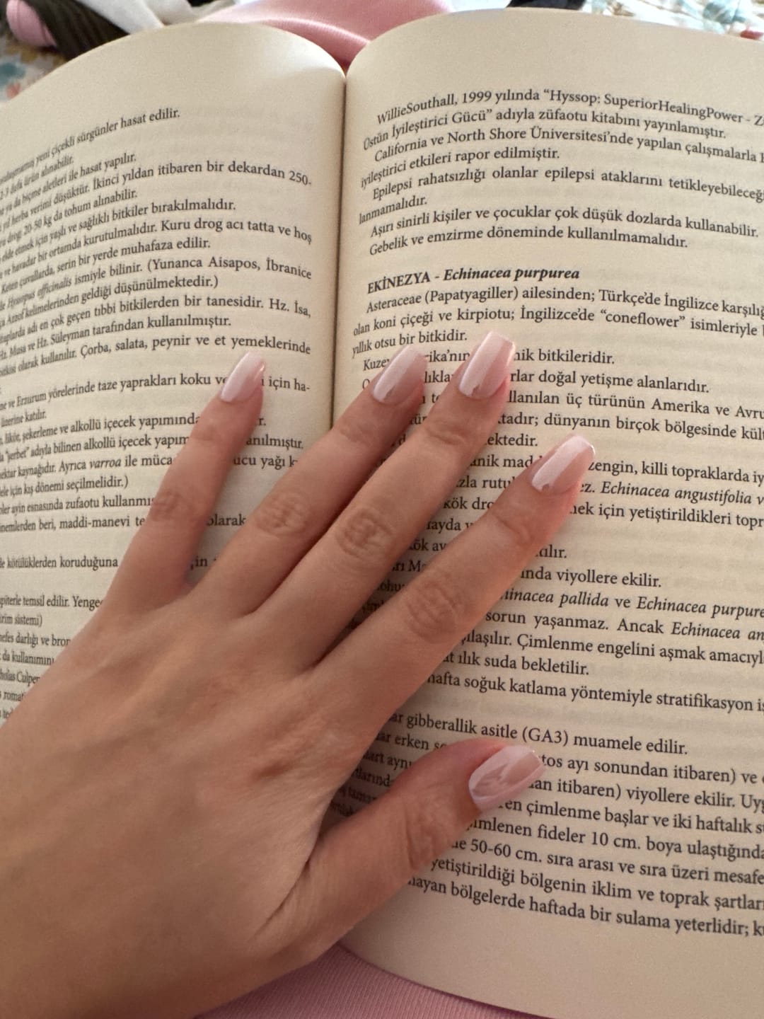 Customer photo review of Silk Touch - Short Square - 32 Adet Takma Tırnak