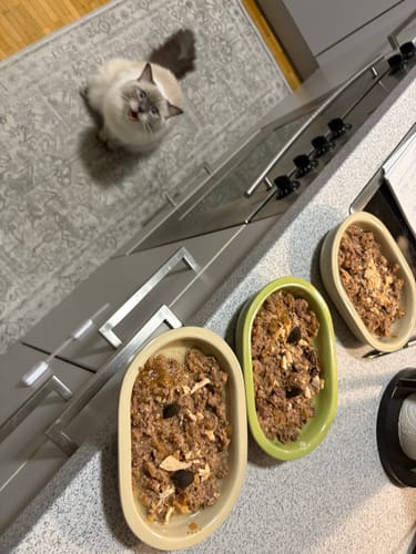 Customer photo review of Patsli Belly