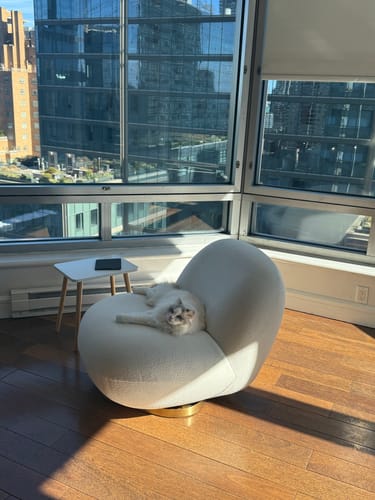 Customer photo review of Plush White Lounger w/ Rotating Base