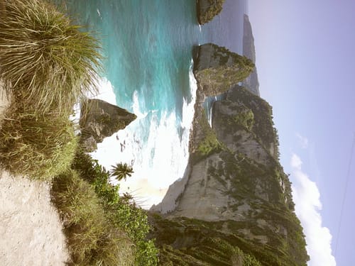 Customer photo review of NUVINT - Digitalkamera