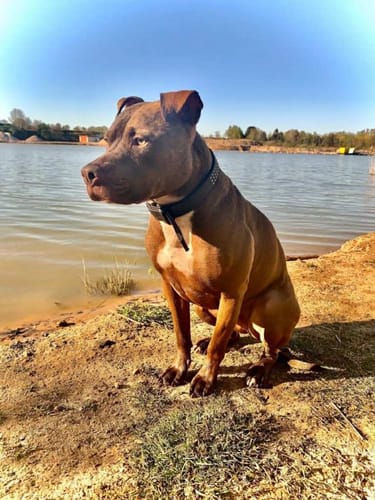 Customer photo review of Seelentröster - Individuelles Kissen