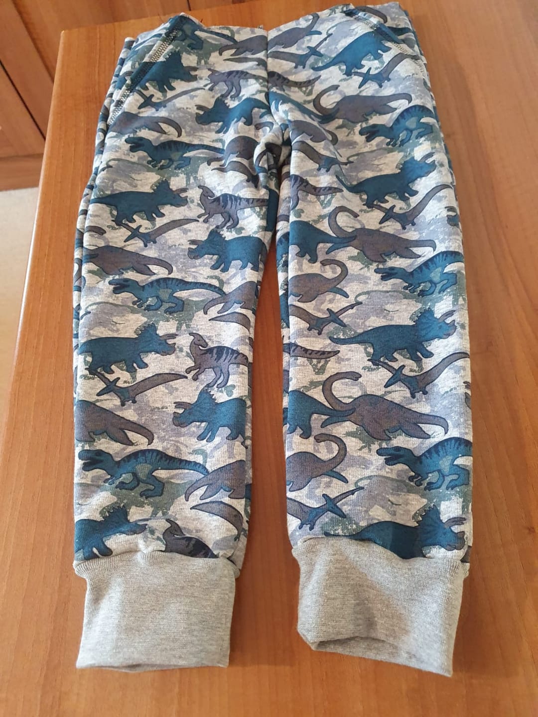 Customer photo review of Dinosaurs Sweatshirt Fabric
