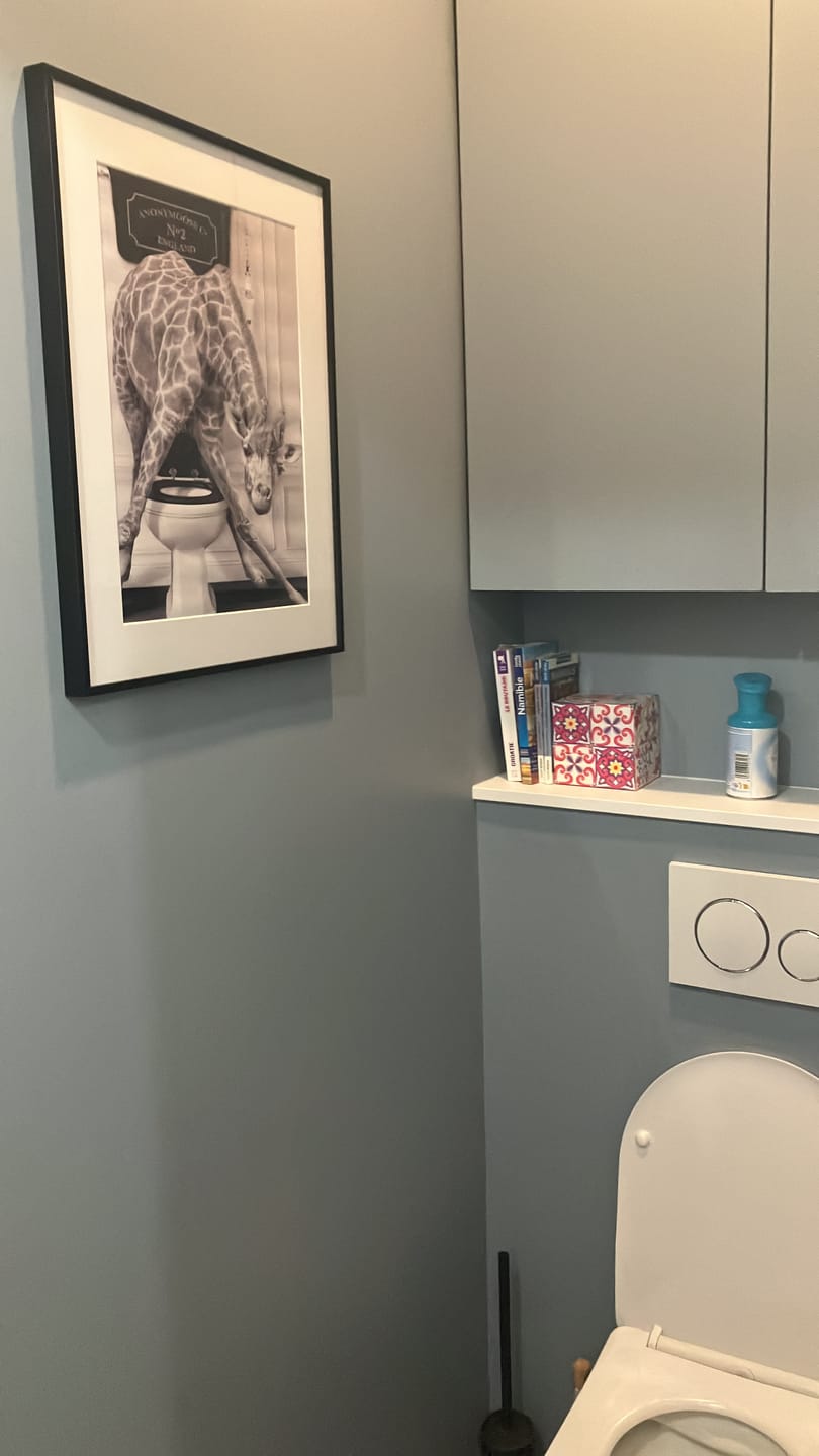 Customer photo review of Les Animaux Humoristiques