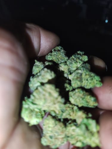 Customer photo review of Grape Cream Cake Mediums - Bulk Mediums - Indica