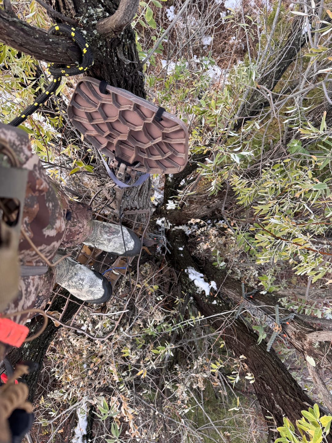 Customer photo review of ASSAULT III HANG-ON