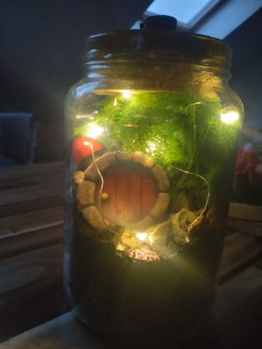 Customer photo review of Wichtelzauber im Flaschengarten - Flaschengartenset