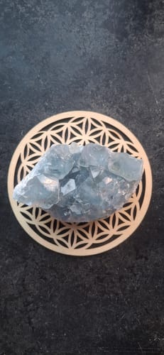 Customer photo review of Célestine