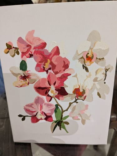 Customer photo review of Set of 6 Mini Paintings - Flowers