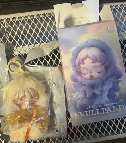 Customer photo review of SKULLPANDA L'impressionnisme Series Plush Doll