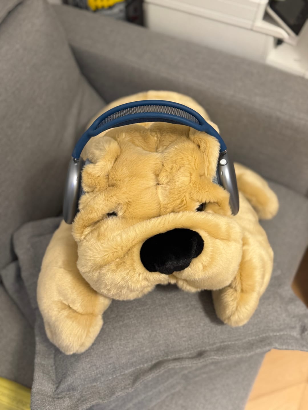 Customer photo review of Ma peluche Chien Hector