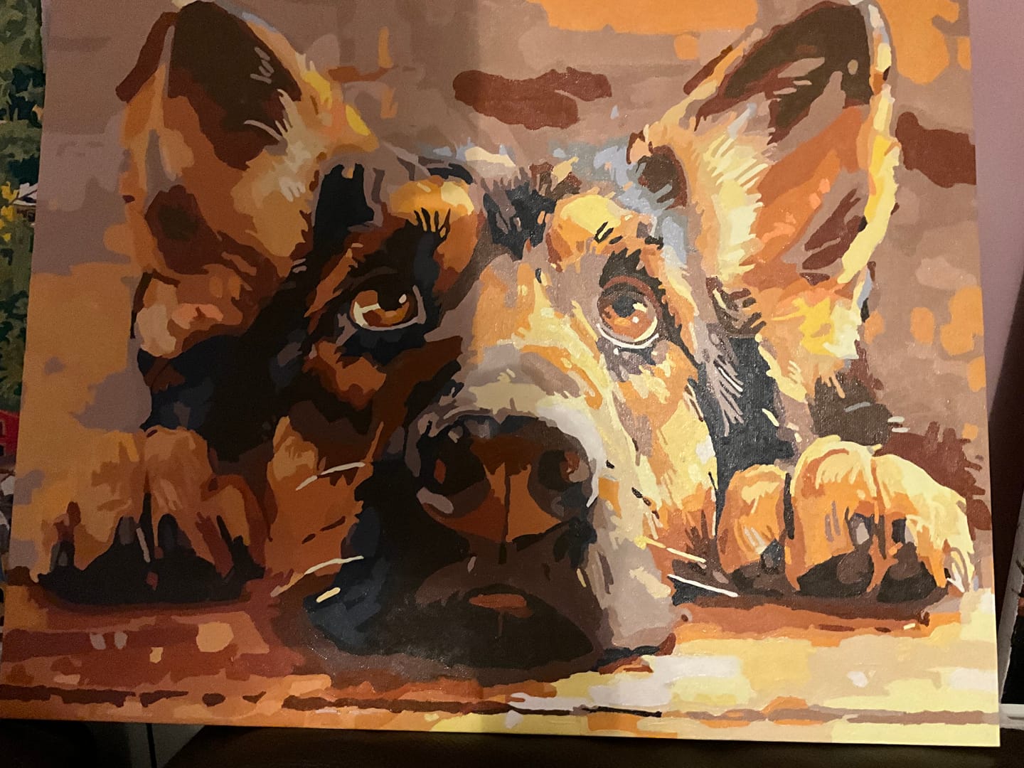 Customer photo review of Bored Shepherd