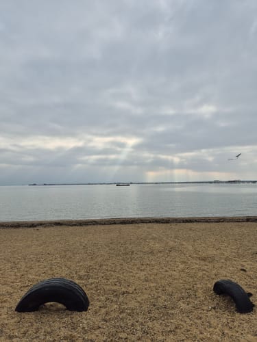 Customer photo review of MYLASMOSS SEAMOSS GEL (720ML)